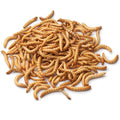 Meal Worms 1kg