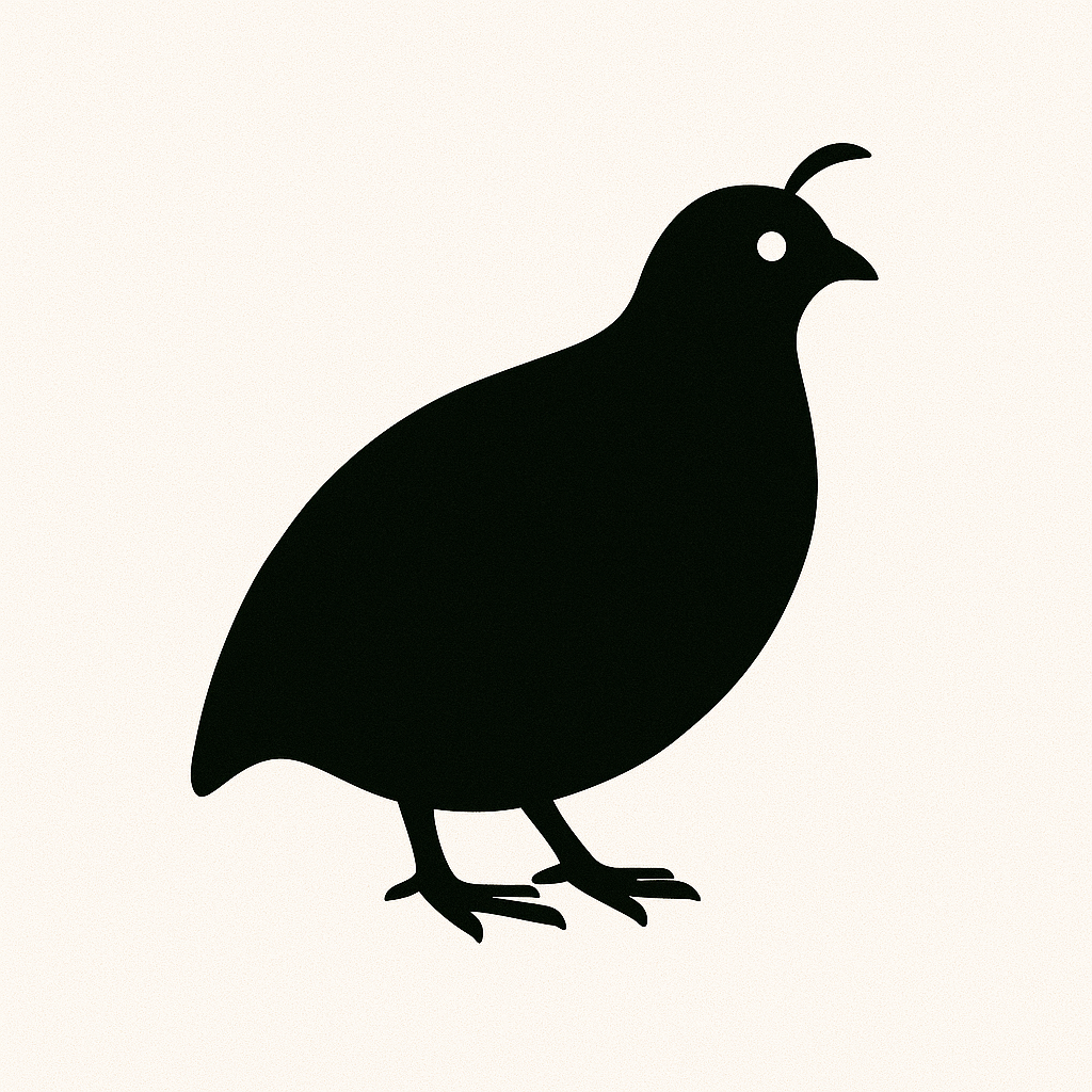 Quail